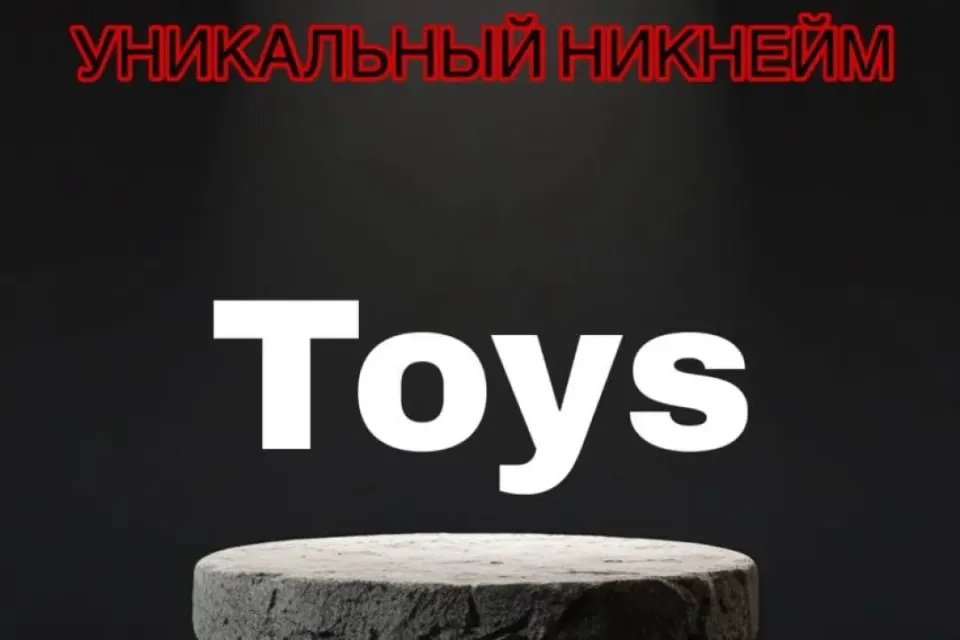 Никнейм Toys