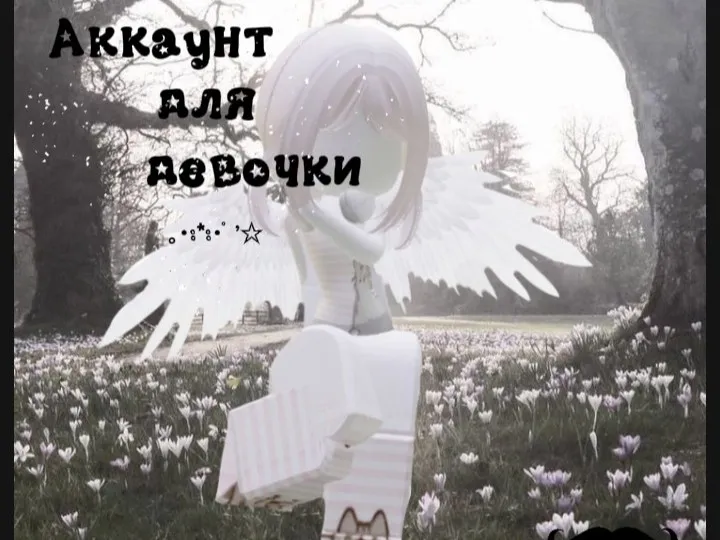 Донатерский аккаунт для девочки ｡･:*:･ﾟ’☆