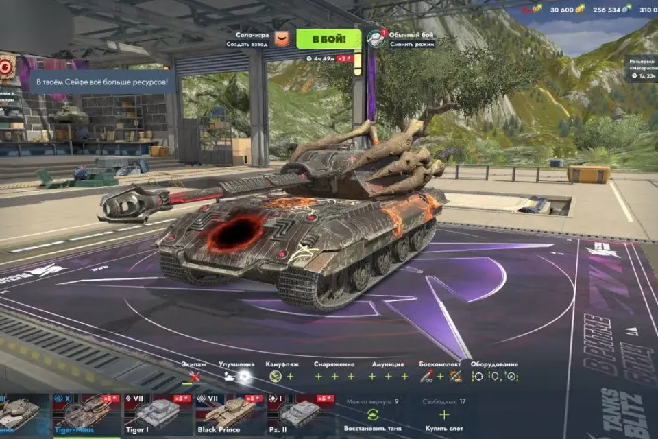 83% побед ✔️ Tiger - Maus  ✔️ 25 000 золота ✔️ 300 000 свободного опыта  ✔️С полной пере привязкой!!