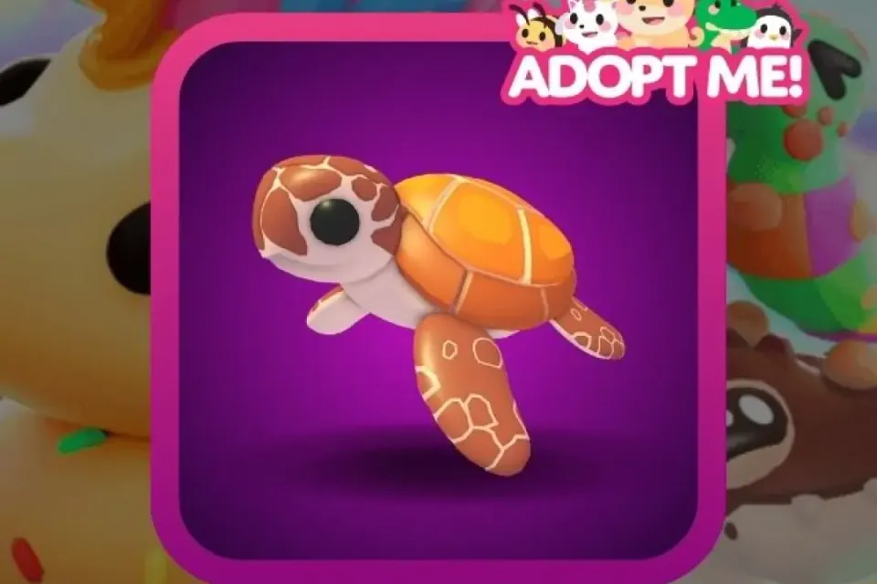 Adopt Me > Sea Turtle > MR