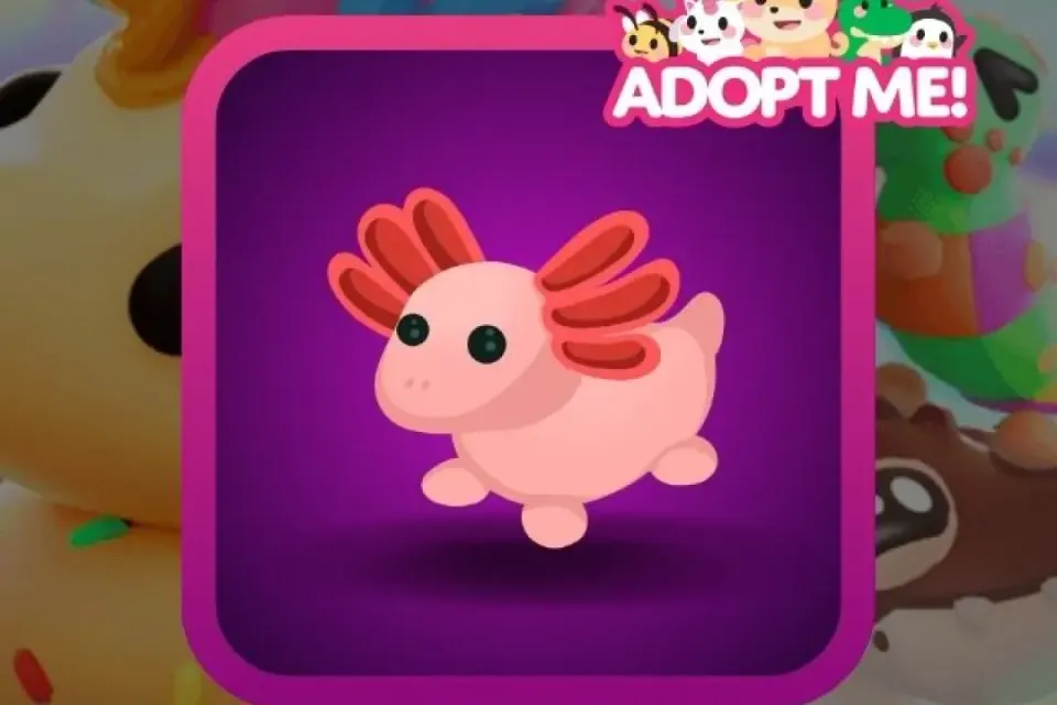 Adopt Me > Axolotl > MFR