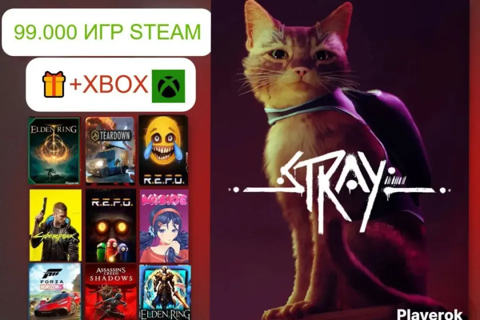 ✅АВТО-ВЫДАЧА| STRAY + БАЗА 97.000 ИГР + 🎁 | БЫСТРО ⚡️