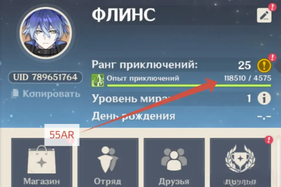 55 AR | ФЛИНС + МОНА + МИДЗУКИ +2ЛЕГИ НА ВЫБОР | EU